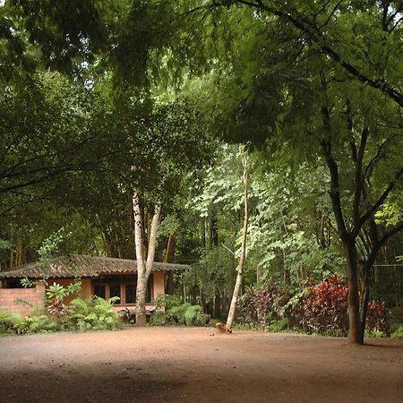 קנצ'נבורי Momchailai Forest Retreat מראה חיצוני תמונה
