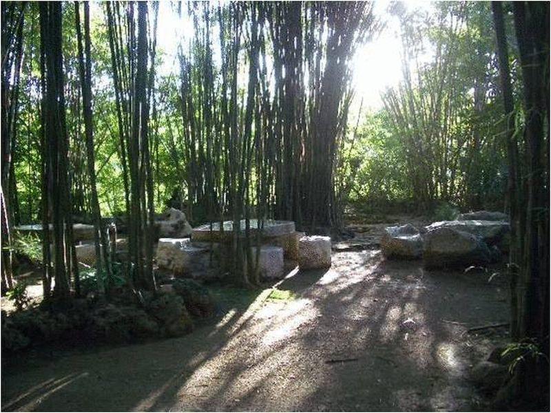 קנצ'נבורי Momchailai Forest Retreat מראה חיצוני תמונה